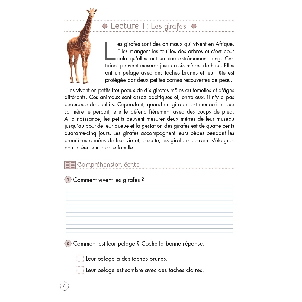 Pack cahiers de lecture et...