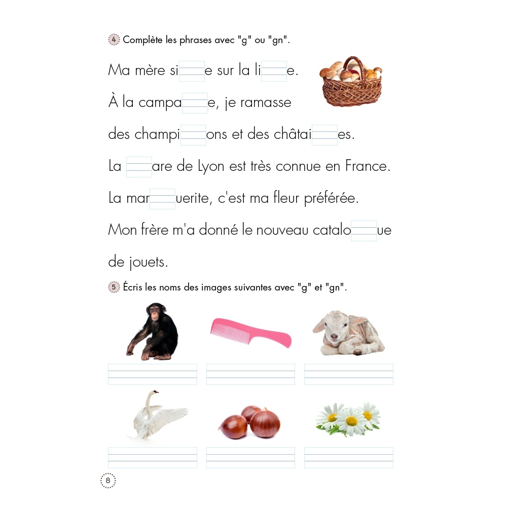 Pack cahiers de lecture et...