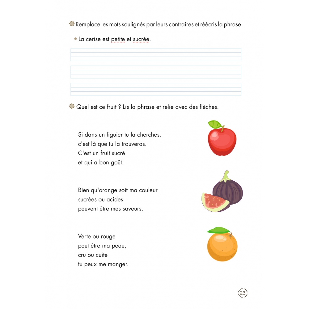 Cahiers de lecture et de...