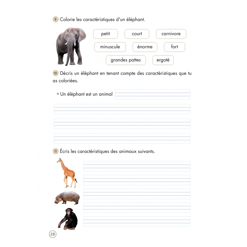 Cahiers de lecture et de...