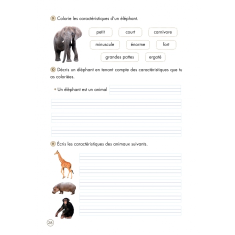 Cahiers de lecture et de compréhension de texte 2 - Les textes 1