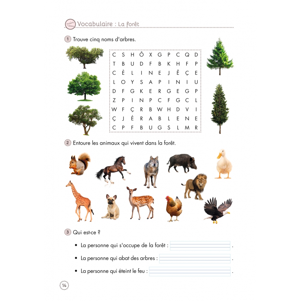 Cahiers de lecture et de...